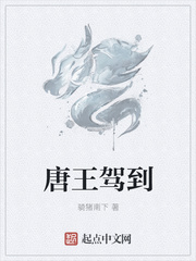�����ݵ�