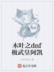 ľҶ֮dnf����ʰ���