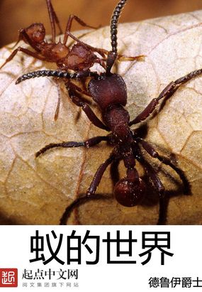 �ϵ�����
