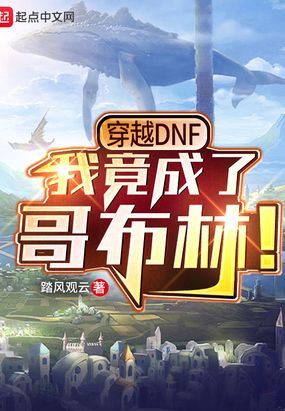 ��ԽDNF,�Ҿ����˸粼�֣�