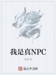 ������NPC