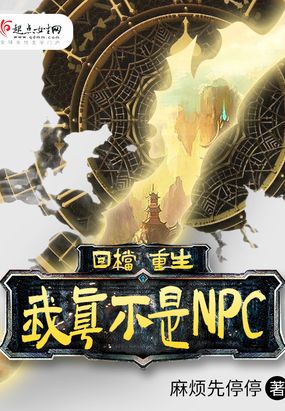 �ص����������治��NPC
