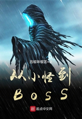 ��С�ֵ�BOSS