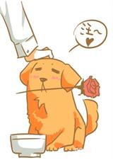 ����֮��ֶ��ϵ